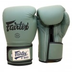 Перчатки боксерские Fairtex подарочные BGV-11 микрофибра