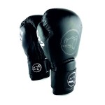 Перчатки боксерские Kiboshu Punch G22 21-76 кожа