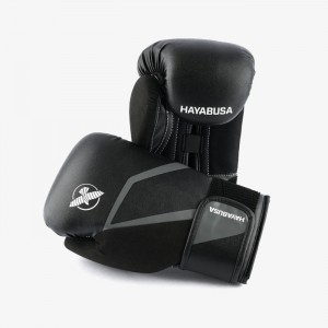 Фото: Перчатки боксерские Hayabusa Boxing Gloves E1