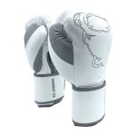 Перчатки боксерские Kiboshu B.G.Sparring 21-82 кожа