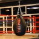 Фото 2: Груша боксерская Fighttech SBL2 кожа 40 кг