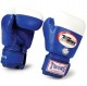 Фото 2: Боксерские перчатки для соревнований на липучке Twins Special BGVL-2