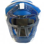 Шлем для единоборств Рэй-Спорт с защитной маской Ш35ИВ