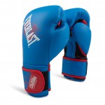 Детские боксерские перчатки Everlast Prospect P00001644