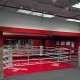 Фото 1: Боксерский ринг Fighttech с настилом Е7333 в силовой раме