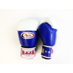 Боксерские перчатки для соревнований на липучке Raja Boxing  RBGV-2A