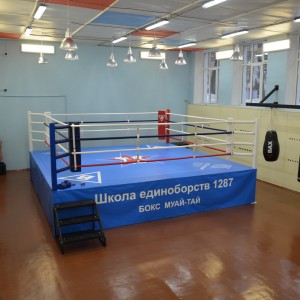 Фото: Боксерский ринг Fighttech на помосте Е10591 8 х 8 м, помост 1 м, внутри канатов 6,1 х 6,1.