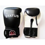 Перчатки боксерские Status Boxing BG-01 кожа