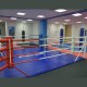 Фото 1: Боксерский ринг напольный Fighttech в силовой раме BR-1 без настила