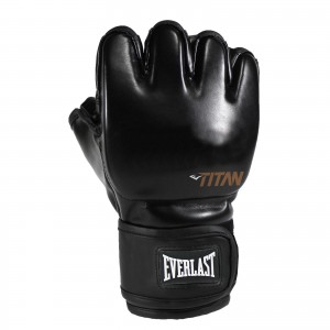 Фото: Перчатки для MMA Everlast Titan P00003011 кожзаменитель