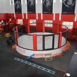 Арена MMA Fighttech на помосте клетка OC-51