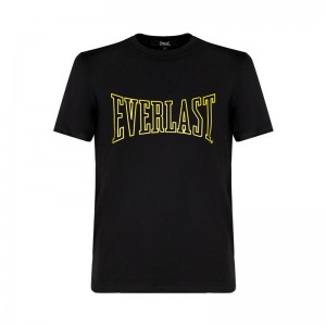 Фото: Футболка Everlast  BND Classic Logo RE2021-05