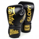 Перчатки боксерские Fairtex Kickboxing Glory BGVG-1 кожа