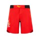 Фото 1: Шорты Everlast MMA Shorts 202112