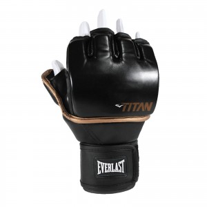 Фото: Перчатки для MMA Everlast Titan Grappling P00003111 кожзаменитель