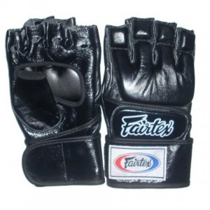 Фото: Перчатки для боевого самбо Fairtex FR кожа
