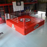 Боксерский ринг Fighttech на помосте Е10588