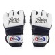 Фото 1: Перчатки для MMA Fairtex универсальные FGV-17